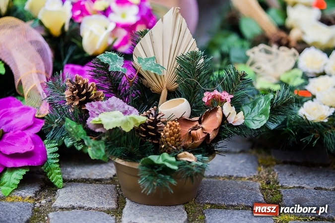 Zdjęcie w galerii na portalu naszraciborz.pl: Kolorowo na placu Dominikańskim w Raciborzu wiadomości z regionu