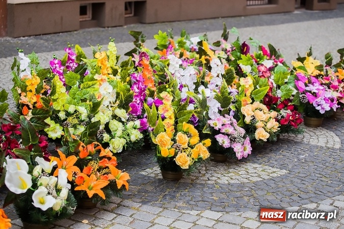 Zdjęcie w galerii na portalu naszraciborz.pl: Kolorowo na placu Dominikańskim w Raciborzu wiadomości z regionu