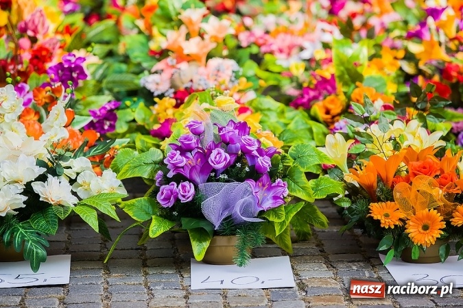 Zdjęcie w galerii na portalu naszraciborz.pl: Kolorowo na placu Dominikańskim w Raciborzu wiadomości z regionu