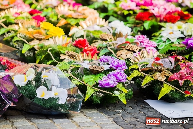 Zdjęcie w galerii na portalu naszraciborz.pl: Kolorowo na placu Dominikańskim w Raciborzu wiadomości z regionu