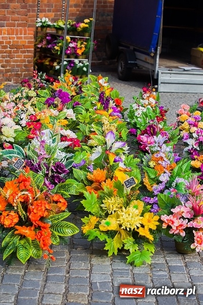Zdjęcie w galerii na portalu naszraciborz.pl: Kolorowo na placu Dominikańskim w Raciborzu wiadomości z regionu