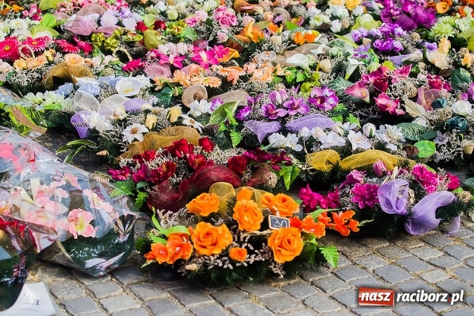 Zdjęcie w galerii na portalu naszraciborz.pl: Kolorowo na placu Dominikańskim w Raciborzu wiadomości z regionu