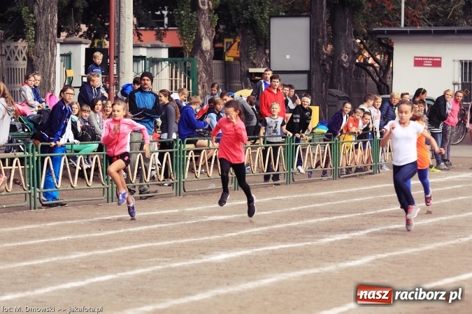 Zdjęcie w galerii na portalu naszraciborz.pl: Sport szkolny. Lekkoatletyczna Olimpiada na stadionie PWSZ wiadomości z regionu