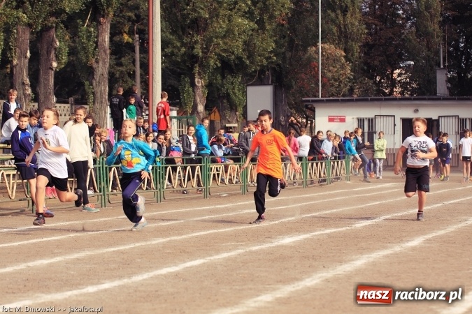 Zdjęcie w galerii na portalu naszraciborz.pl: Sport szkolny. Lekkoatletyczna Olimpiada na stadionie PWSZ wiadomości z regionu