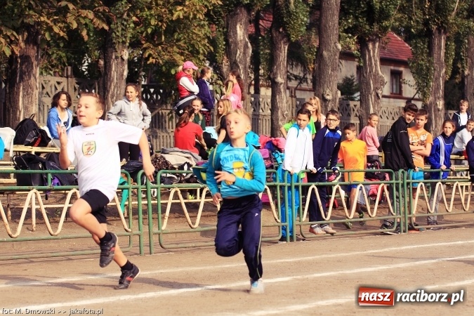 Zdjęcie w galerii na portalu naszraciborz.pl: Sport szkolny. Lekkoatletyczna Olimpiada na stadionie PWSZ wiadomości z regionu