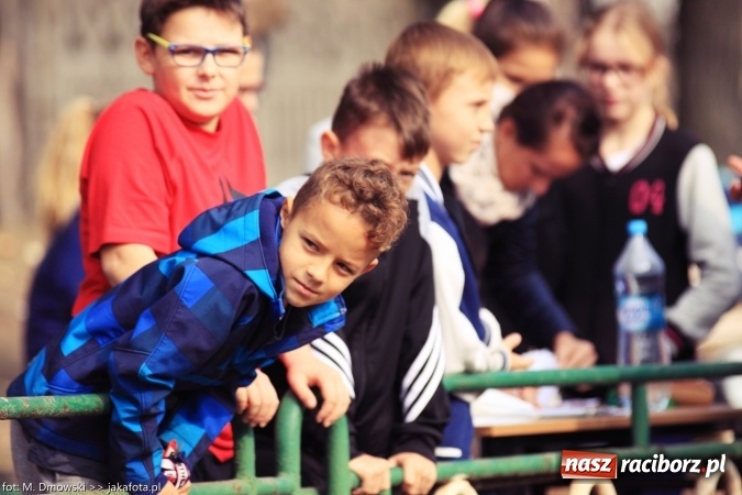 Zdjęcie w galerii na portalu naszraciborz.pl: Sport szkolny. Lekkoatletyczna Olimpiada na stadionie PWSZ wiadomości z regionu