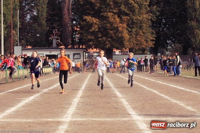 Zdjęcie w galerii na portalu naszraciborz.pl: Sport szkolny. Lekkoatletyczna Olimpiada na stadionie PWSZ wiadomości z regionu