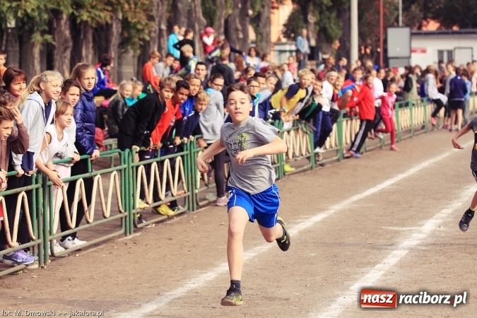 Zdjęcie w galerii na portalu naszraciborz.pl: Sport szkolny. Lekkoatletyczna Olimpiada na stadionie PWSZ wiadomości z regionu