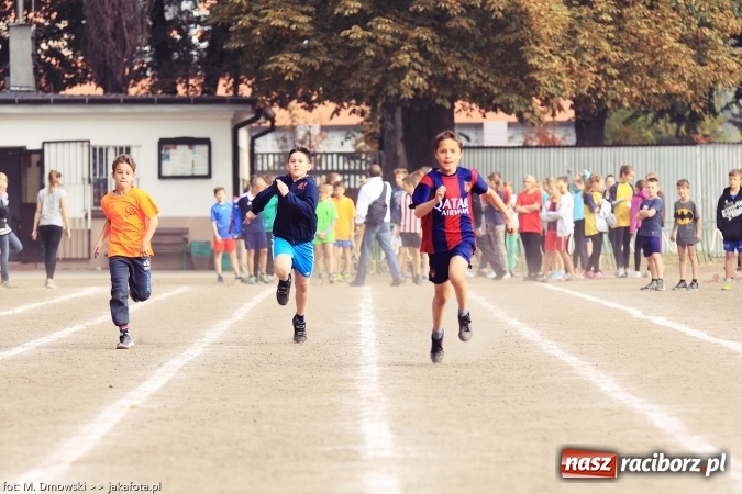 Zdjęcie w galerii na portalu naszraciborz.pl: Sport szkolny. Lekkoatletyczna Olimpiada na stadionie PWSZ wiadomości z regionu