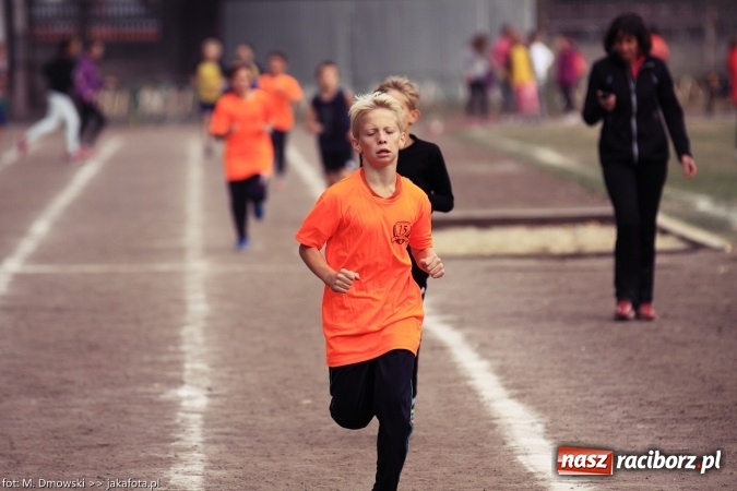 Zdjęcie w galerii na portalu naszraciborz.pl: Sport szkolny. Lekkoatletyczna Olimpiada na stadionie PWSZ wiadomości z regionu