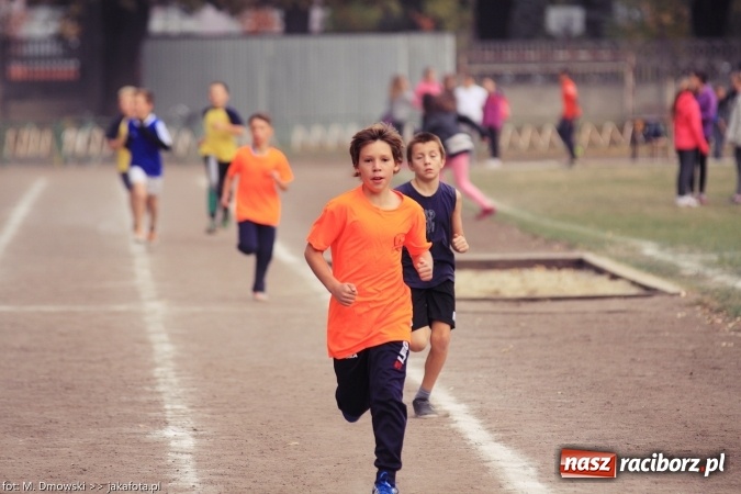 Zdjęcie w galerii na portalu naszraciborz.pl: Sport szkolny. Lekkoatletyczna Olimpiada na stadionie PWSZ wiadomości z regionu