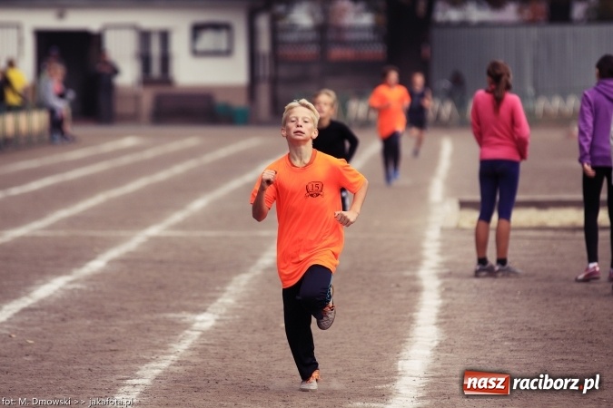 Zdjęcie w galerii na portalu naszraciborz.pl: Sport szkolny. Lekkoatletyczna Olimpiada na stadionie PWSZ wiadomości z regionu