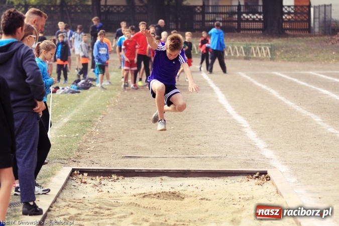 Zdjęcie w galerii na portalu naszraciborz.pl: Sport szkolny. Lekkoatletyczna Olimpiada na stadionie PWSZ wiadomości z regionu