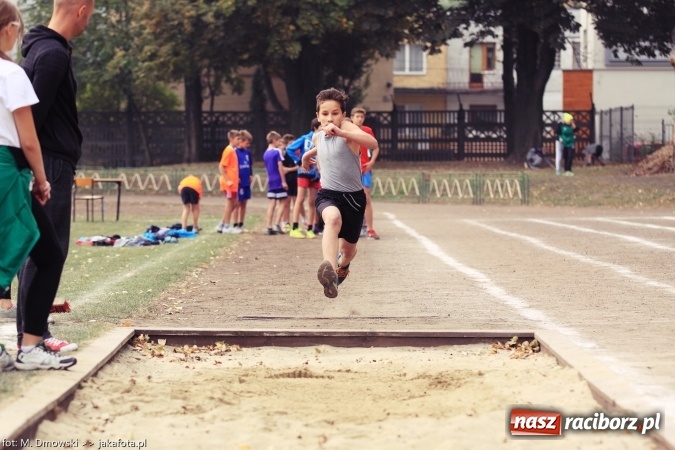 Zdjęcie w galerii na portalu naszraciborz.pl: Sport szkolny. Lekkoatletyczna Olimpiada na stadionie PWSZ wiadomości z regionu