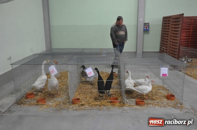 Zdjęcie w galerii na portalu naszraciborz.pl: Pietrowice Wielkie zapraszają na wystawę drobnego inwentarza wiadomości z regionu