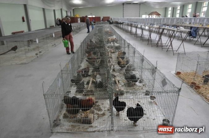 Zdjęcie w galerii na portalu naszraciborz.pl: Pietrowice Wielkie zapraszają na wystawę drobnego inwentarza wiadomości z regionu