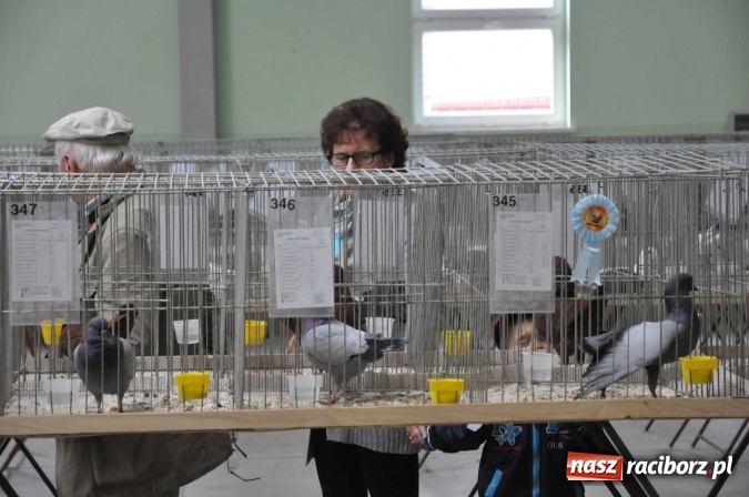 Zdjęcie w galerii na portalu naszraciborz.pl: Pietrowice Wielkie zapraszają na wystawę drobnego inwentarza wiadomości z regionu