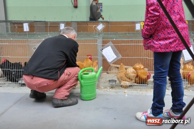 Zdjęcie w galerii na portalu naszraciborz.pl: Pietrowice Wielkie zapraszają na wystawę drobnego inwentarza wiadomości z regionu