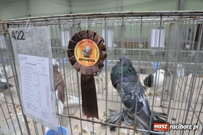 Zdjęcie w galerii na portalu naszraciborz.pl: Pietrowice Wielkie zapraszają na wystawę drobnego inwentarza wiadomości z regionu