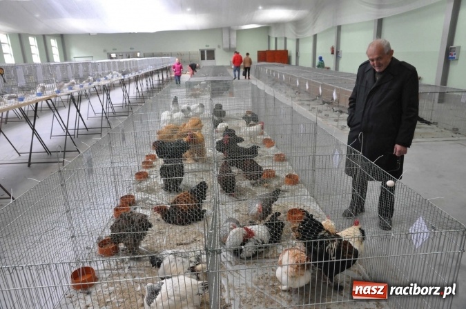 Zdjęcie w galerii na portalu naszraciborz.pl: Pietrowice Wielkie zapraszają na wystawę drobnego inwentarza wiadomości z regionu