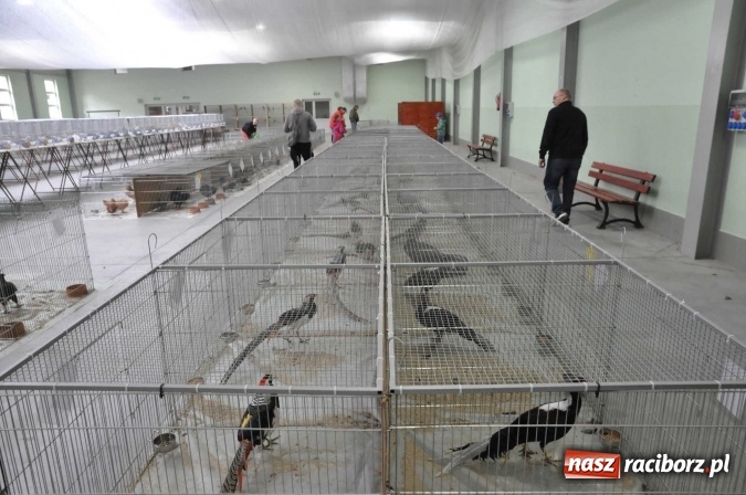 Zdjęcie w galerii na portalu naszraciborz.pl: Pietrowice Wielkie zapraszają na wystawę drobnego inwentarza wiadomości z regionu