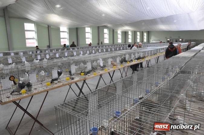 Zdjęcie w galerii na portalu naszraciborz.pl: Pietrowice Wielkie zapraszają na wystawę drobnego inwentarza wiadomości z regionu