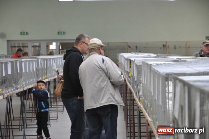 Zdjęcie w galerii na portalu naszraciborz.pl: Pietrowice Wielkie zapraszają na wystawę drobnego inwentarza wiadomości z regionu