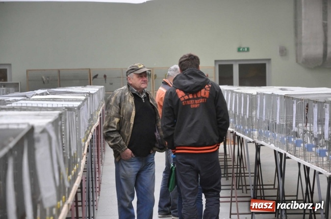 Zdjęcie w galerii na portalu naszraciborz.pl: Pietrowice Wielkie zapraszają na wystawę drobnego inwentarza wiadomości z regionu