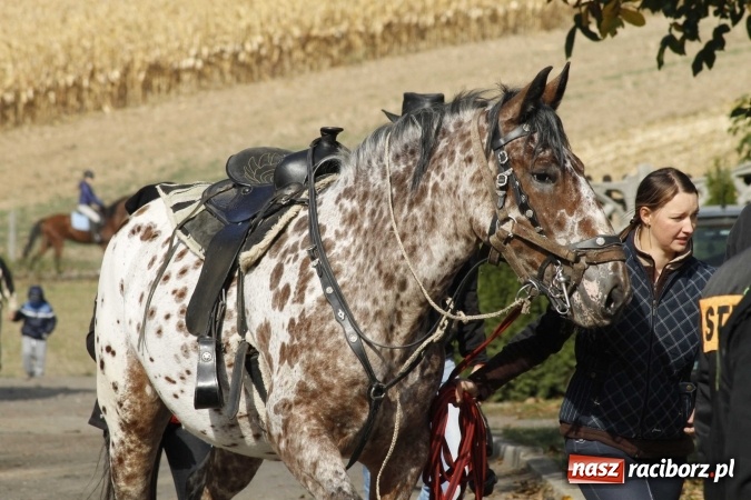 Zdjęcie w galerii na portalu naszraciborz.pl: Na żerdzińskim Hubertusie pogoda sprzyja wiadomości z regionu