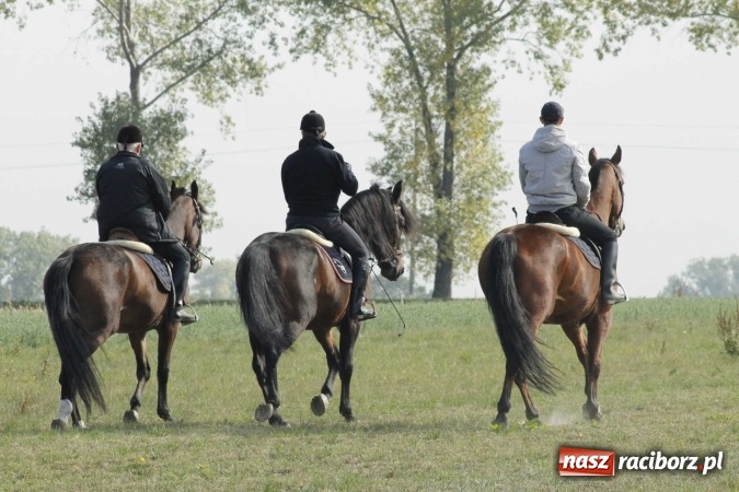 Zdjęcie w galerii na portalu naszraciborz.pl: Na żerdzińskim Hubertusie pogoda sprzyja wiadomości z regionu