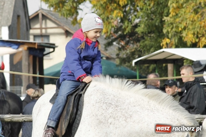 Zdjęcie w galerii na portalu naszraciborz.pl: Na żerdzińskim Hubertusie pogoda sprzyja wiadomości z regionu