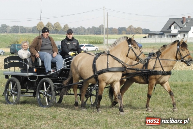 Zdjęcie w galerii na portalu naszraciborz.pl: Na żerdzińskim Hubertusie pogoda sprzyja wiadomości z regionu