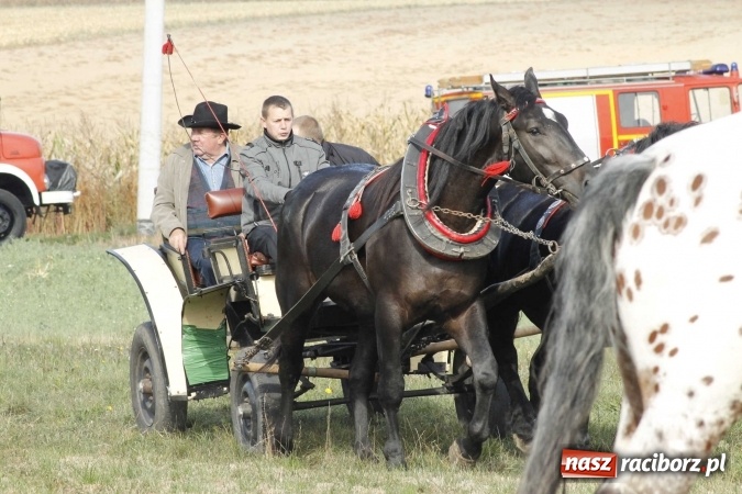 Zdjęcie w galerii na portalu naszraciborz.pl: Na żerdzińskim Hubertusie pogoda sprzyja wiadomości z regionu