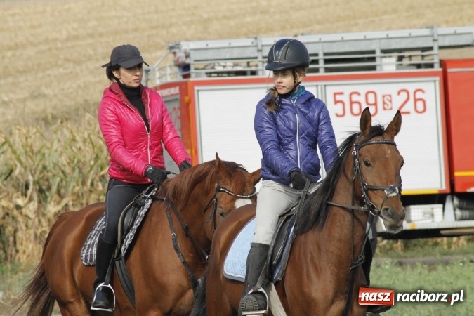 Zdjęcie w galerii na portalu naszraciborz.pl: Na żerdzińskim Hubertusie pogoda sprzyja wiadomości z regionu