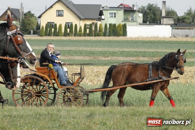 Zdjęcie w galerii na portalu naszraciborz.pl: Na żerdzińskim Hubertusie pogoda sprzyja wiadomości z regionu