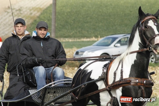 Zdjęcie w galerii na portalu naszraciborz.pl: Na żerdzińskim Hubertusie pogoda sprzyja wiadomości z regionu