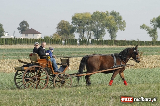 Zdjęcie w galerii na portalu naszraciborz.pl: Na żerdzińskim Hubertusie pogoda sprzyja wiadomości z regionu