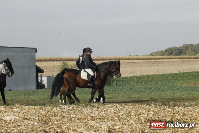 Zdjęcie w galerii na portalu naszraciborz.pl: Na żerdzińskim Hubertusie pogoda sprzyja wiadomości z regionu