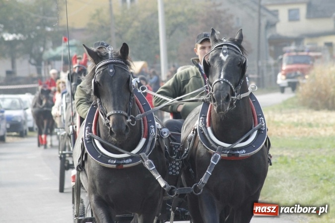 Zdjęcie w galerii na portalu naszraciborz.pl: Na żerdzińskim Hubertusie pogoda sprzyja wiadomości z regionu