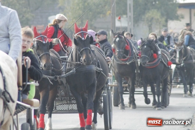 Zdjęcie w galerii na portalu naszraciborz.pl: Na żerdzińskim Hubertusie pogoda sprzyja wiadomości z regionu