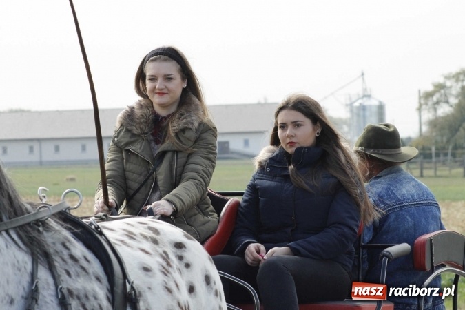 Zdjęcie w galerii na portalu naszraciborz.pl: Na żerdzińskim Hubertusie pogoda sprzyja wiadomości z regionu