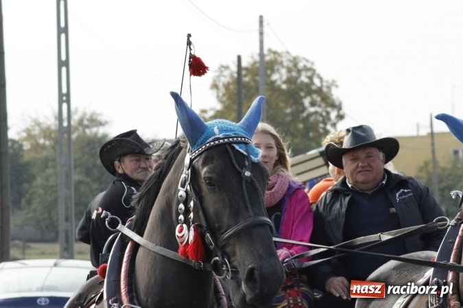 Zdjęcie w galerii na portalu naszraciborz.pl: Na żerdzińskim Hubertusie pogoda sprzyja wiadomości z regionu