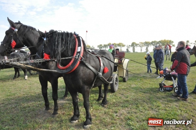 Zdjęcie w galerii na portalu naszraciborz.pl: Na żerdzińskim Hubertusie pogoda sprzyja wiadomości z regionu