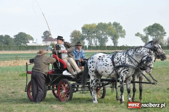 Zdjęcie w galerii na portalu naszraciborz.pl: Na żerdzińskim Hubertusie pogoda sprzyja wiadomości z regionu