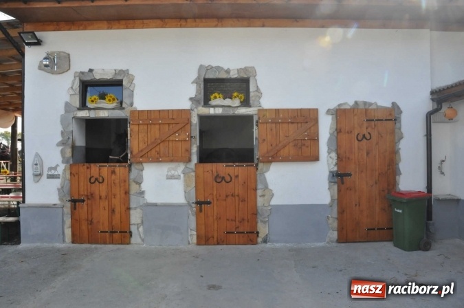 Zdjęcie w galerii na portalu naszraciborz.pl: Na żerdzińskim Hubertusie pogoda sprzyja wiadomości z regionu