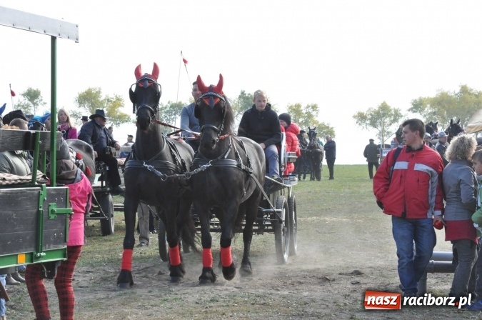 Zdjęcie w galerii na portalu naszraciborz.pl: Na żerdzińskim Hubertusie pogoda sprzyja wiadomości z regionu