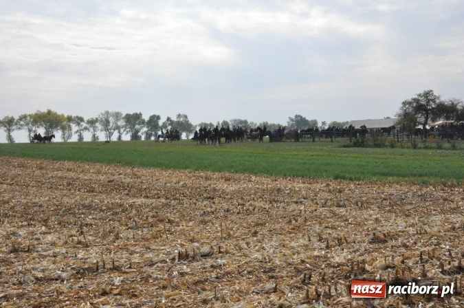 Zdjęcie w galerii na portalu naszraciborz.pl: Na żerdzińskim Hubertusie pogoda sprzyja wiadomości z regionu
