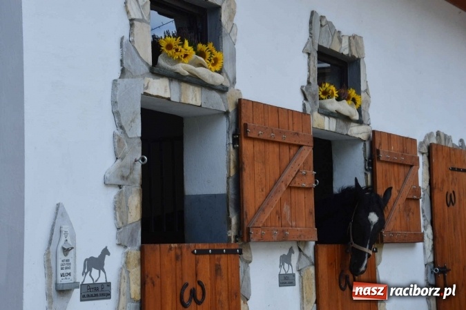 Zdjęcie w galerii na portalu naszraciborz.pl: Na żerdzińskim Hubertusie pogoda sprzyja wiadomości z regionu