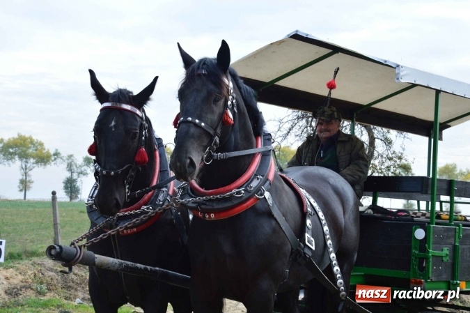 Zdjęcie w galerii na portalu naszraciborz.pl: Na żerdzińskim Hubertusie pogoda sprzyja wiadomości z regionu