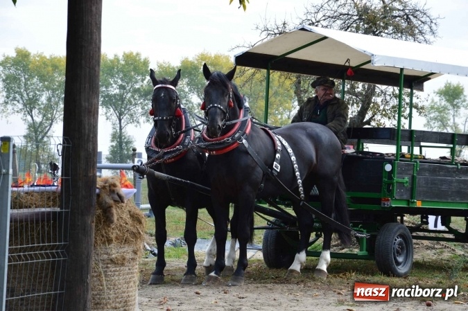Zdjęcie w galerii na portalu naszraciborz.pl: Na żerdzińskim Hubertusie pogoda sprzyja wiadomości z regionu